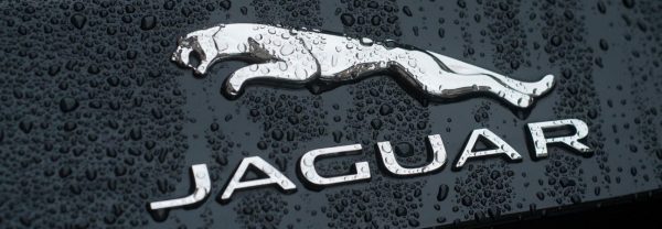 jaguar summer care car wash